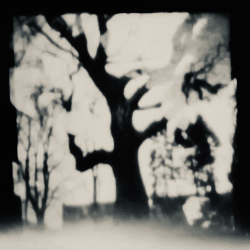 pinhole photo